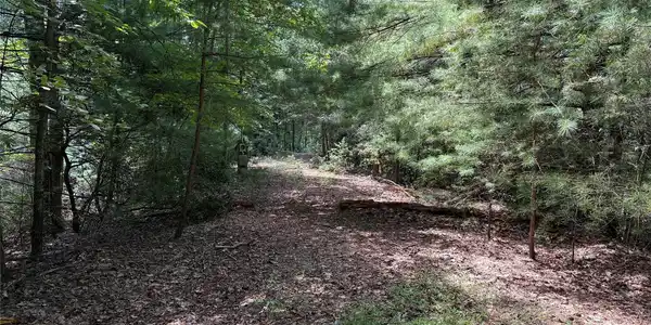 Image 4 Image 4