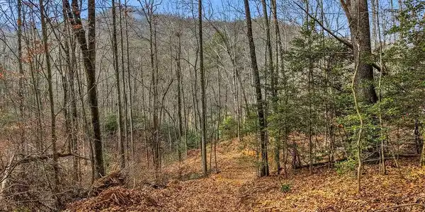00 Barkers Creek Road