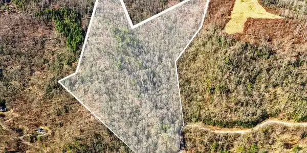 Image 2 Image 2