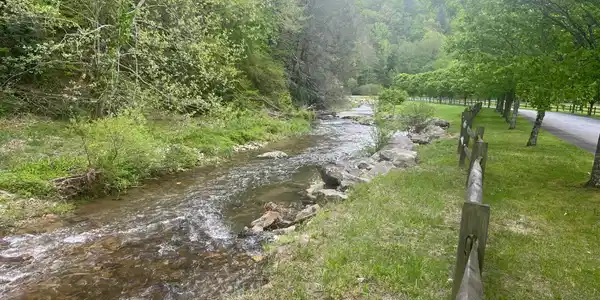 Image 2 Image 2