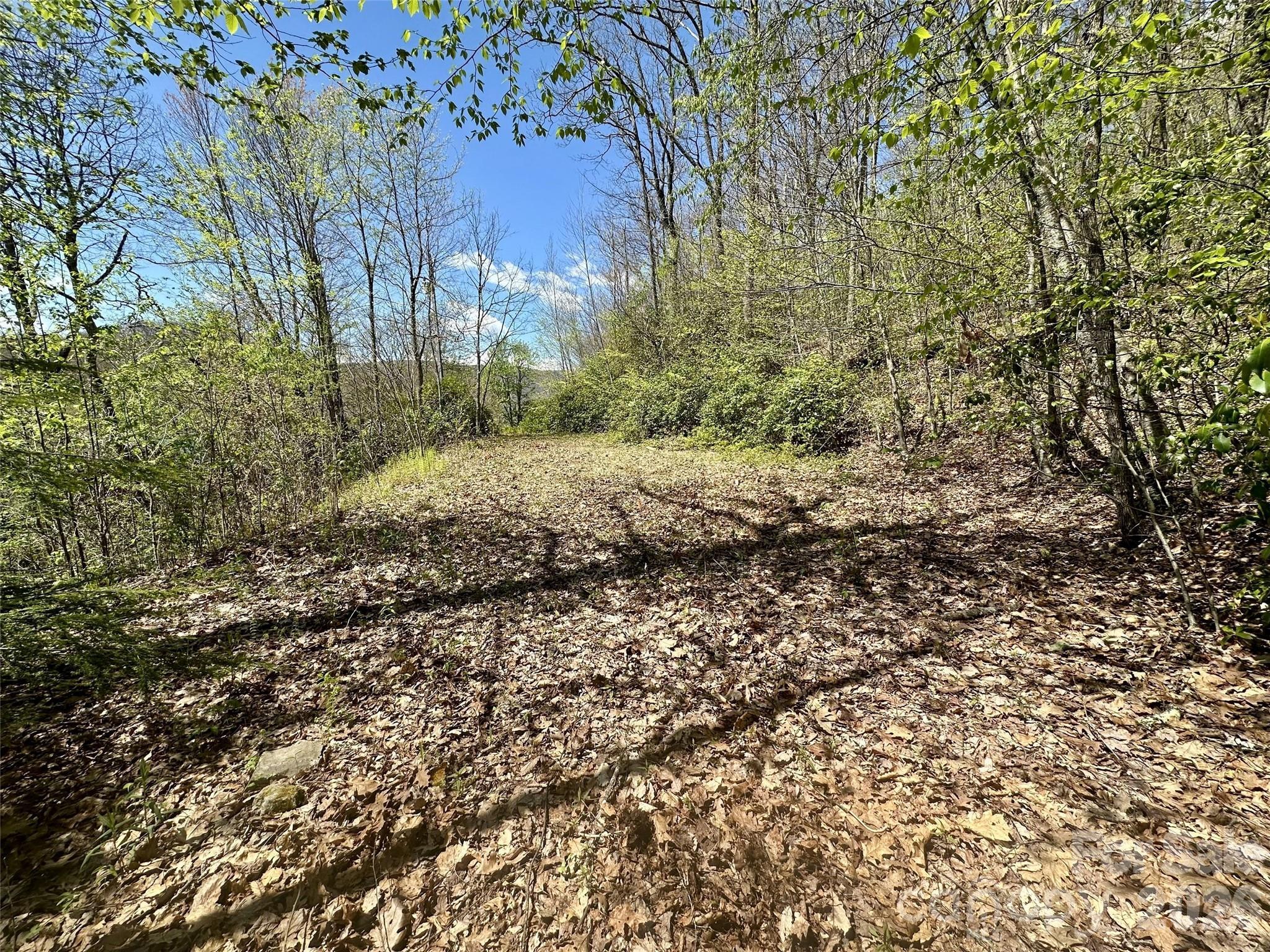 Image 3 Image 3