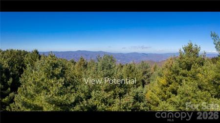 197 Eagle Bald Trail