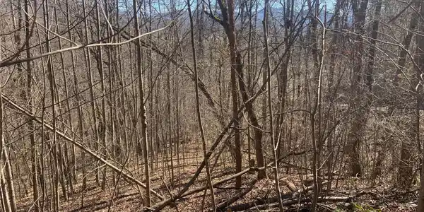 00 Ashe Branch Circle