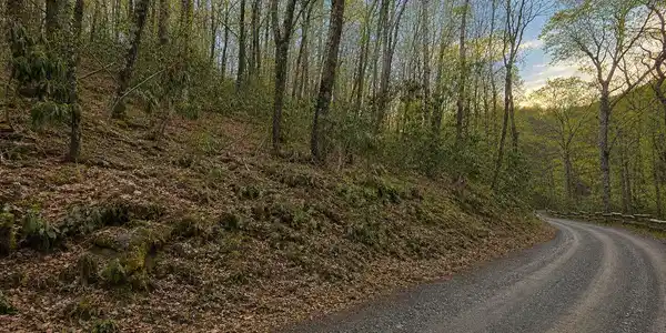 Image 4 Image 4