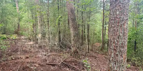 Image 4 Image 4