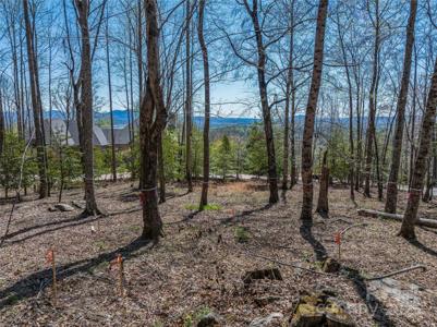 96 Split Rock Trail