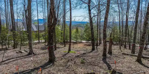 96 Split Rock Trail