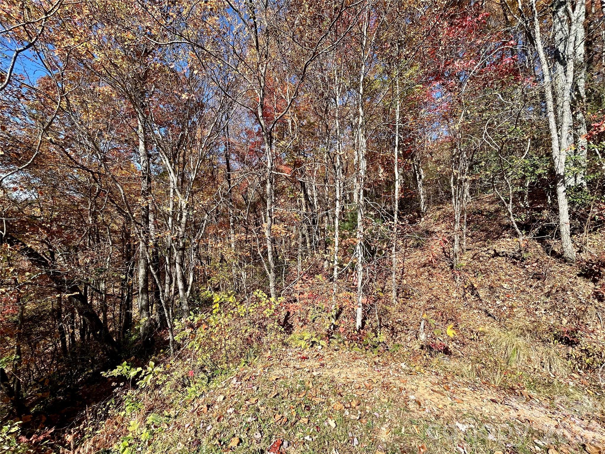 Image 3 Image 3