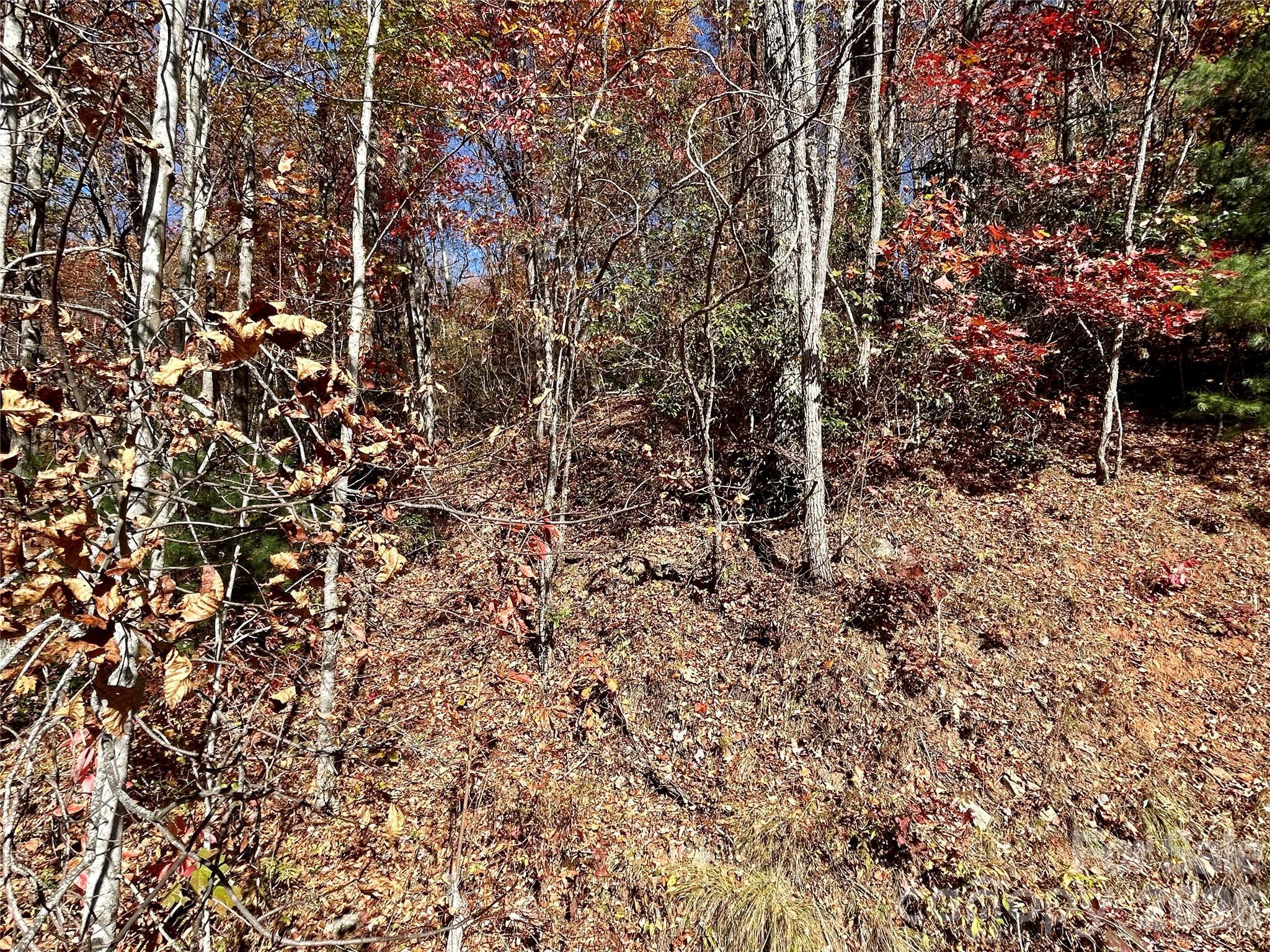 Image 4 Image 4