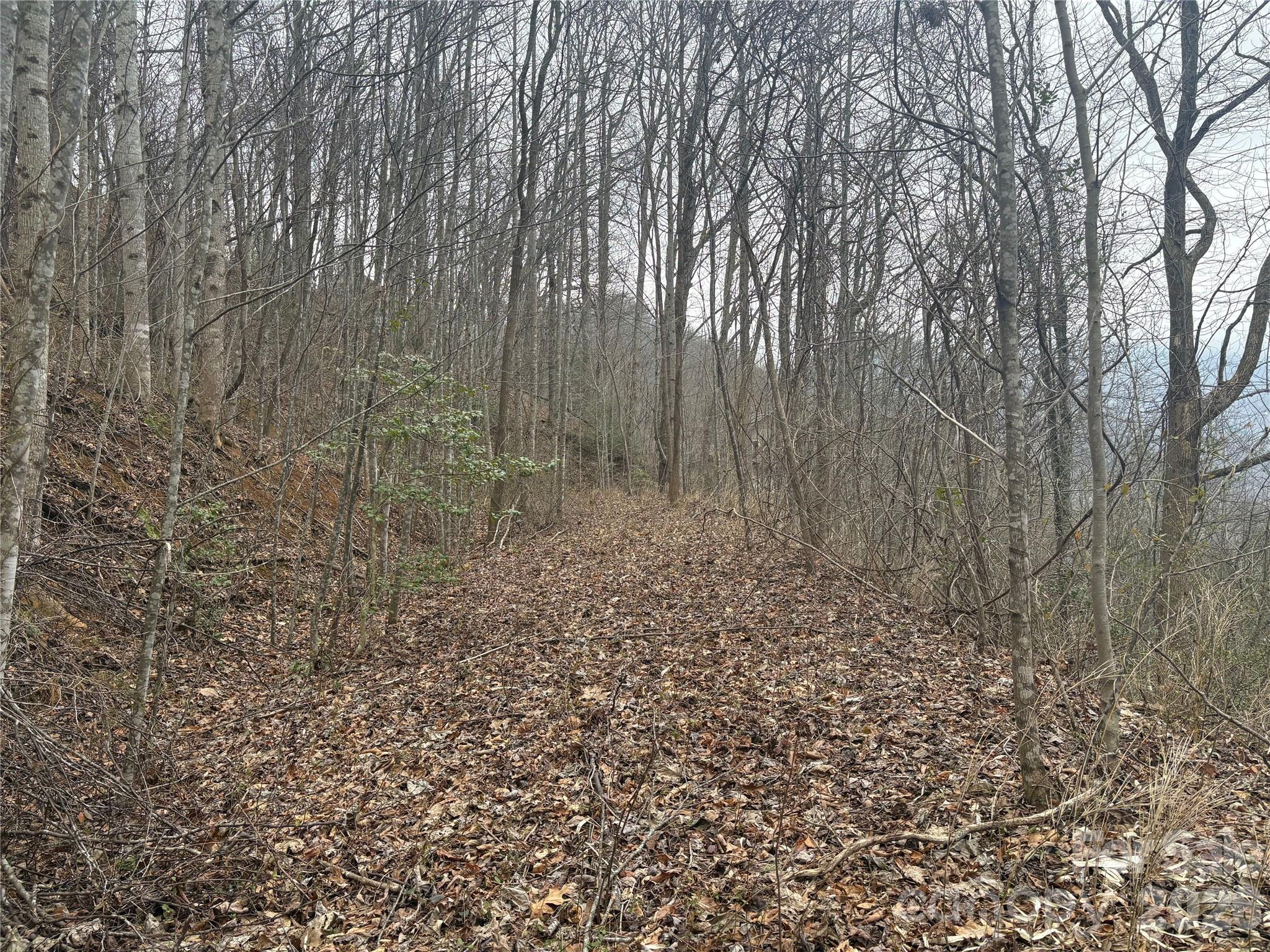 Image 3 Image 3