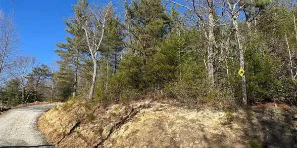 Image 4 Image 4
