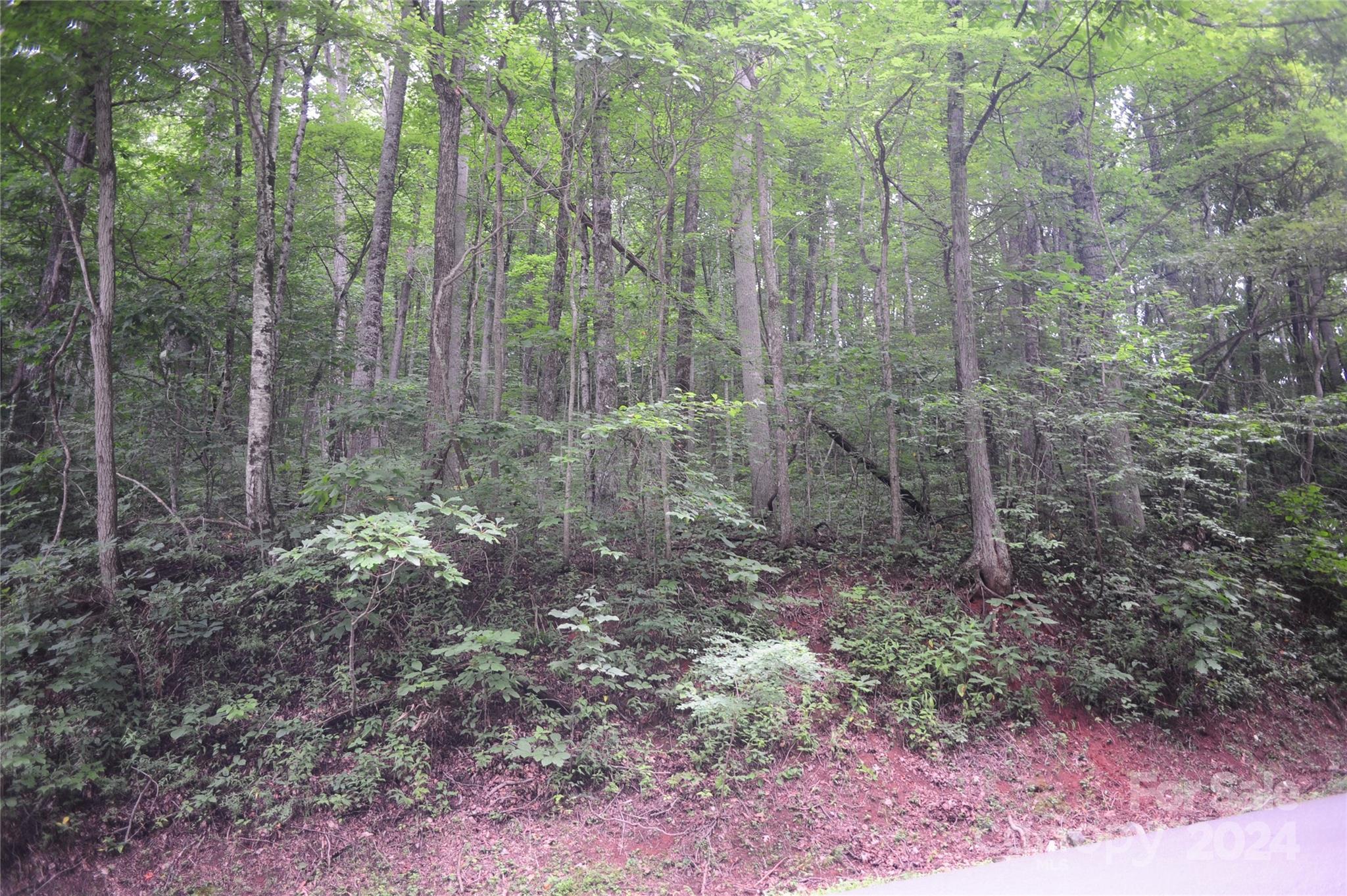 Image 2 Image 2