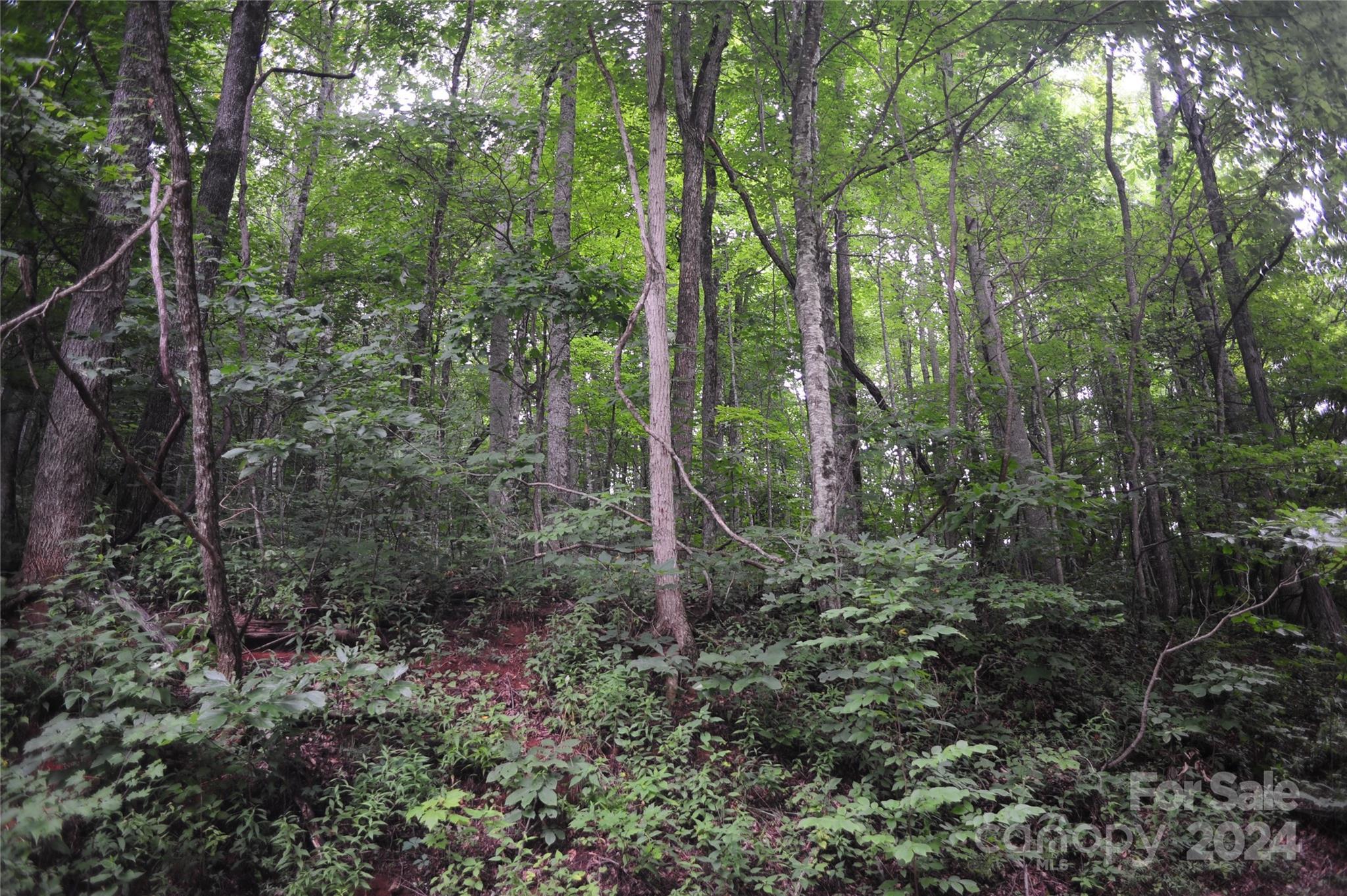 Image 3 Image 3