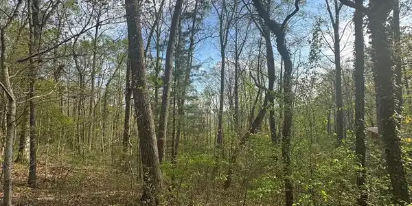 99999 Buffalo Trail