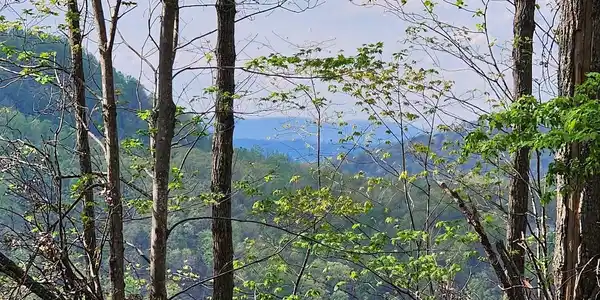 79 Longview Trail
