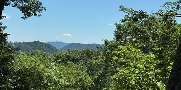 Image 2 Image 2