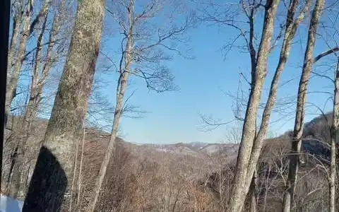 Image 4 Image 4