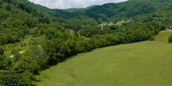 Image 3 Image 3