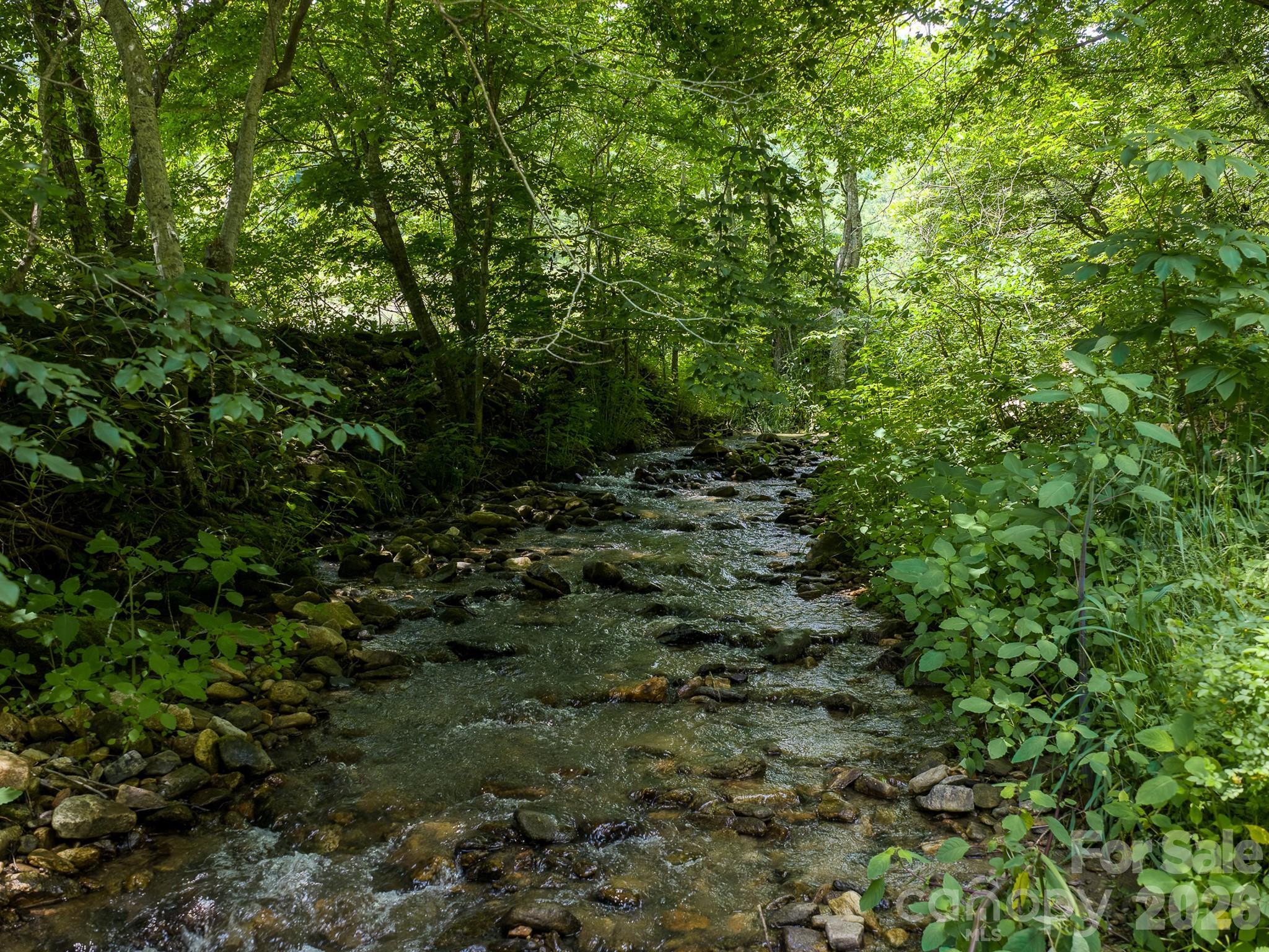 Image 4 Image 4