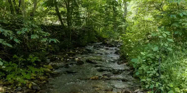 Image 4 Image 4