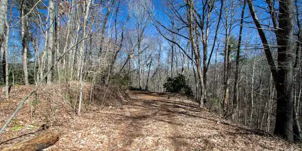 Image 4 Image 4