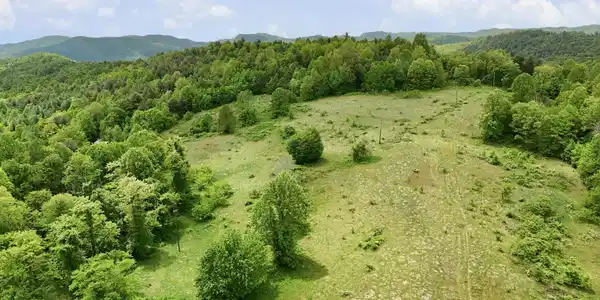 Image 4 Image 4