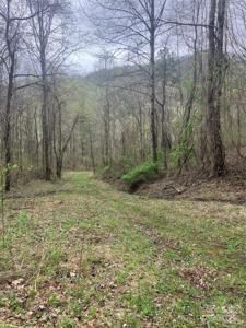 9999 Davidson Gap Road