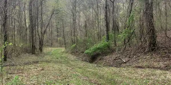 9999 Davidson Gap Road