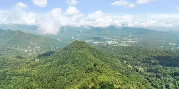 Image 4 Image 4