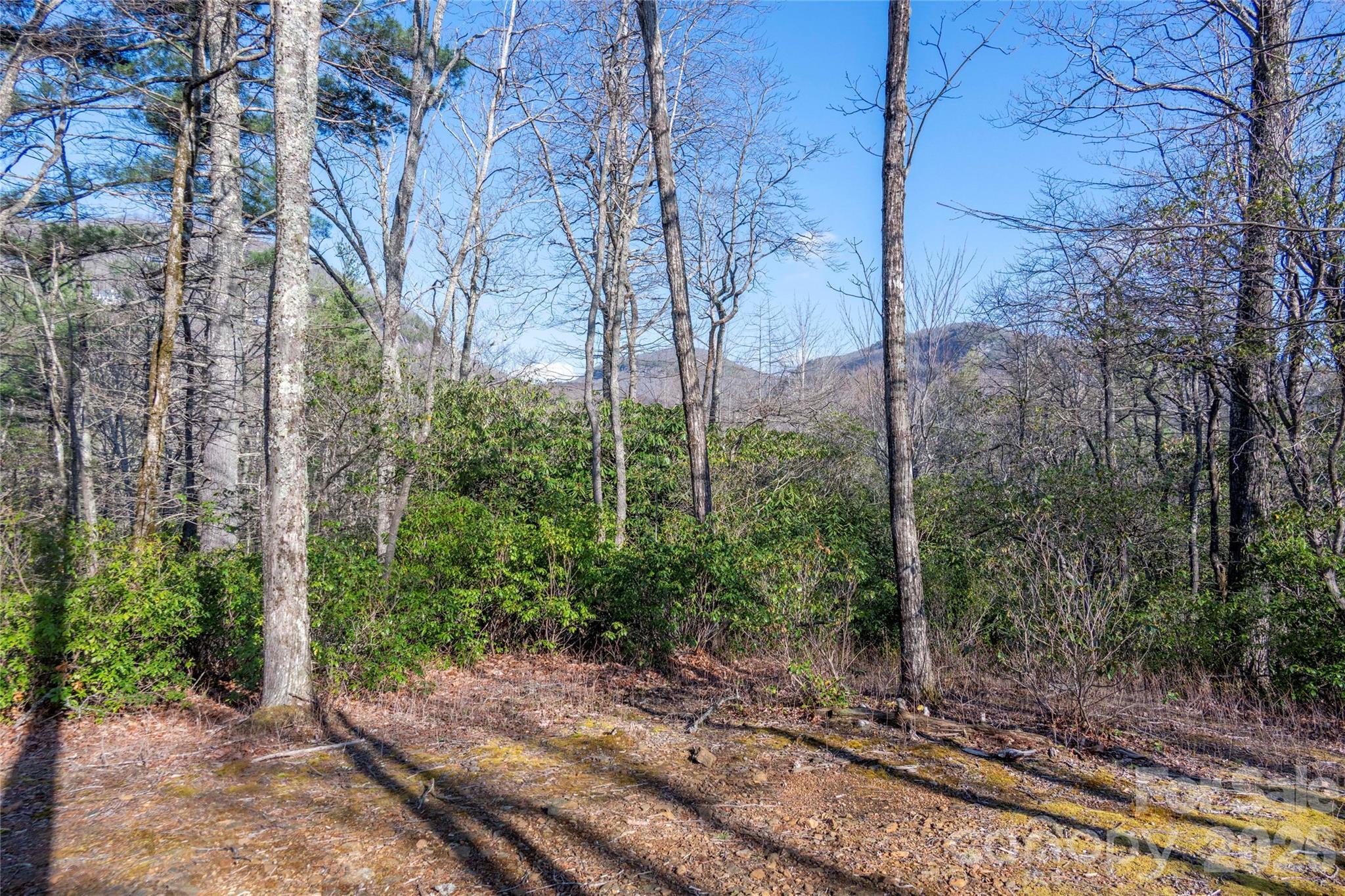 Image 1 Image 1