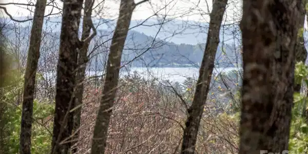 Image 4 Image 4