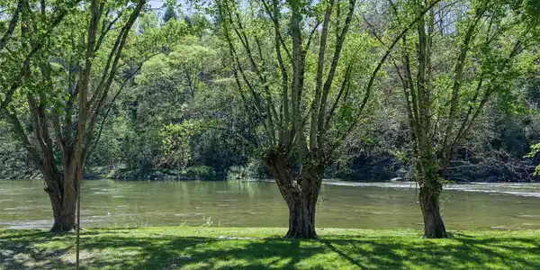 Image 4 Image 4