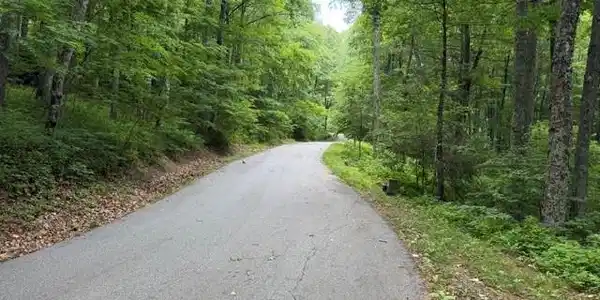 Image 4 Image 4