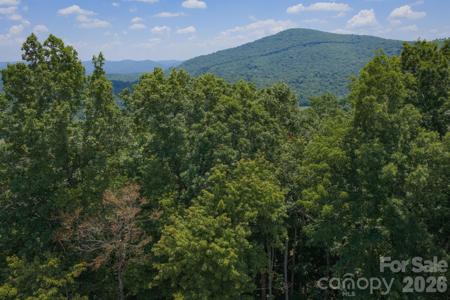 Lot 64 Poplar Forest Drive