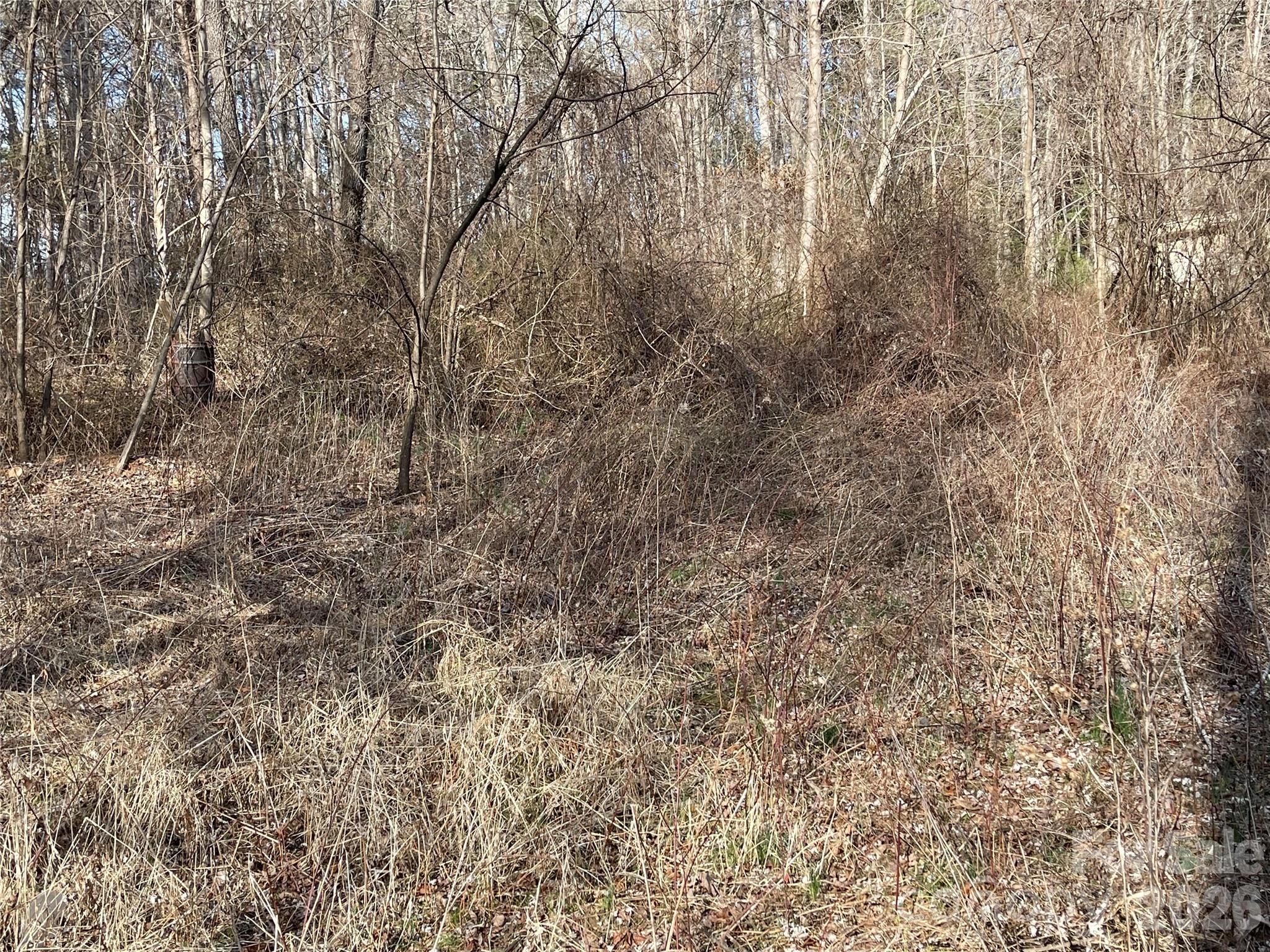 Image 3 Image 3