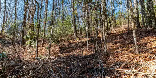 Image 4 Image 4