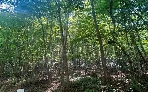Lot 272 Hummingbird Court