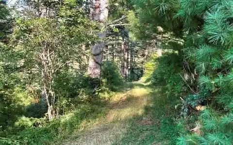 Image 4 Image 4