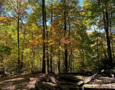 Lot A38 Tawodi Trail
