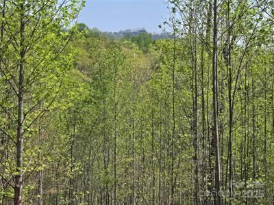 Lot 17 Touch Me Not Trail