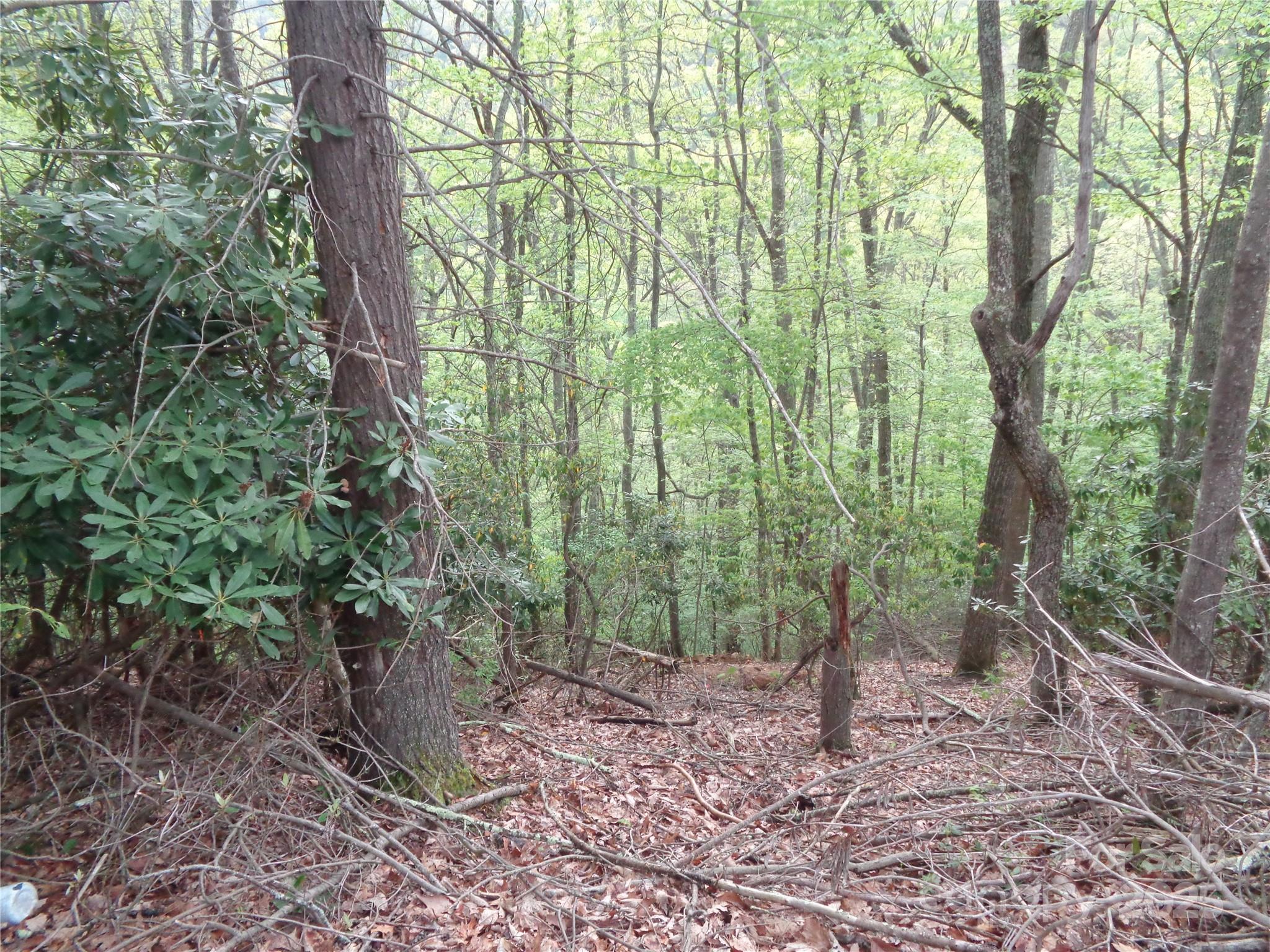 Image 3 Image 3