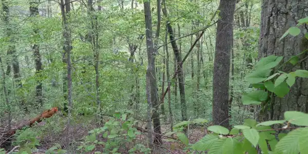 Image 4 Image 4