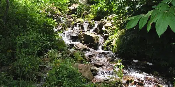 Image 3 Image 3