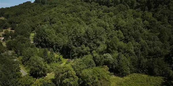 Image 4 Image 4