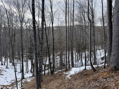TBD (Lot 3) Poplar Forest Drive