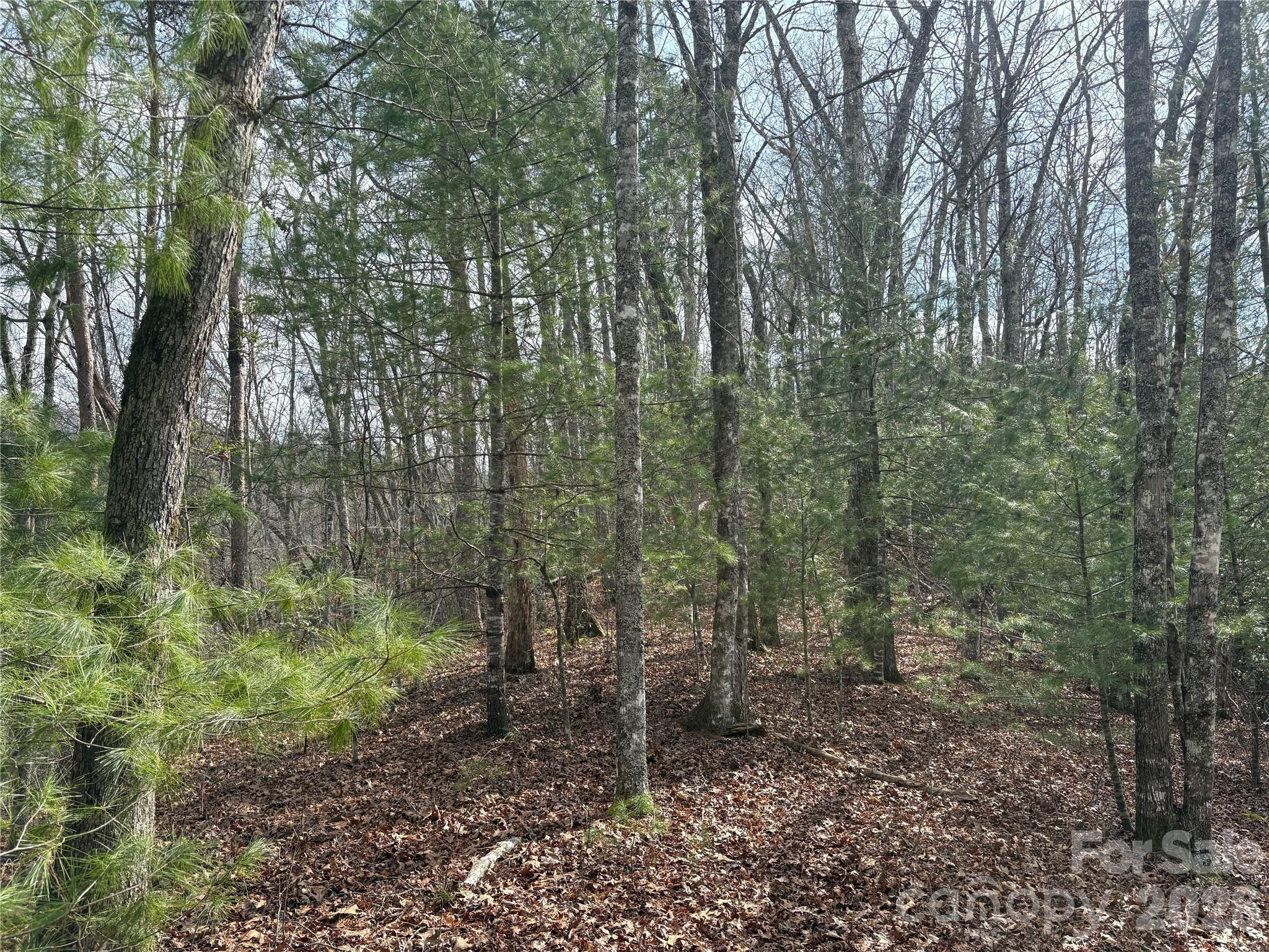 Image 3 Image 3