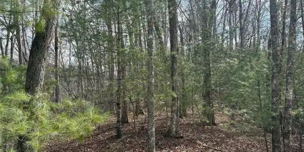 Image 3 Image 3