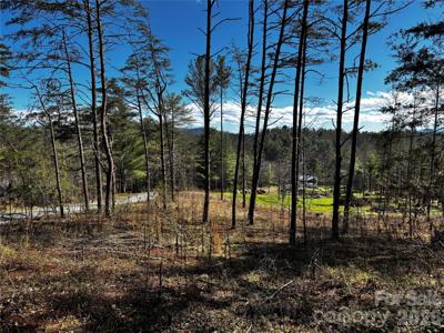 99999 Pine Forest Drive