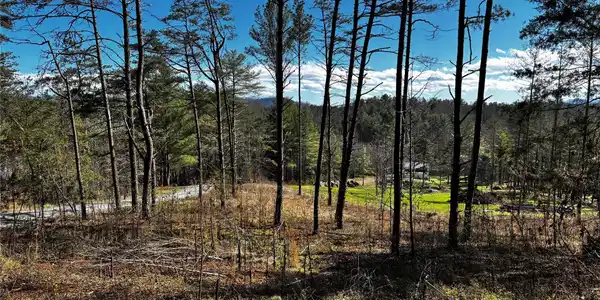99999 Pine Forest Drive