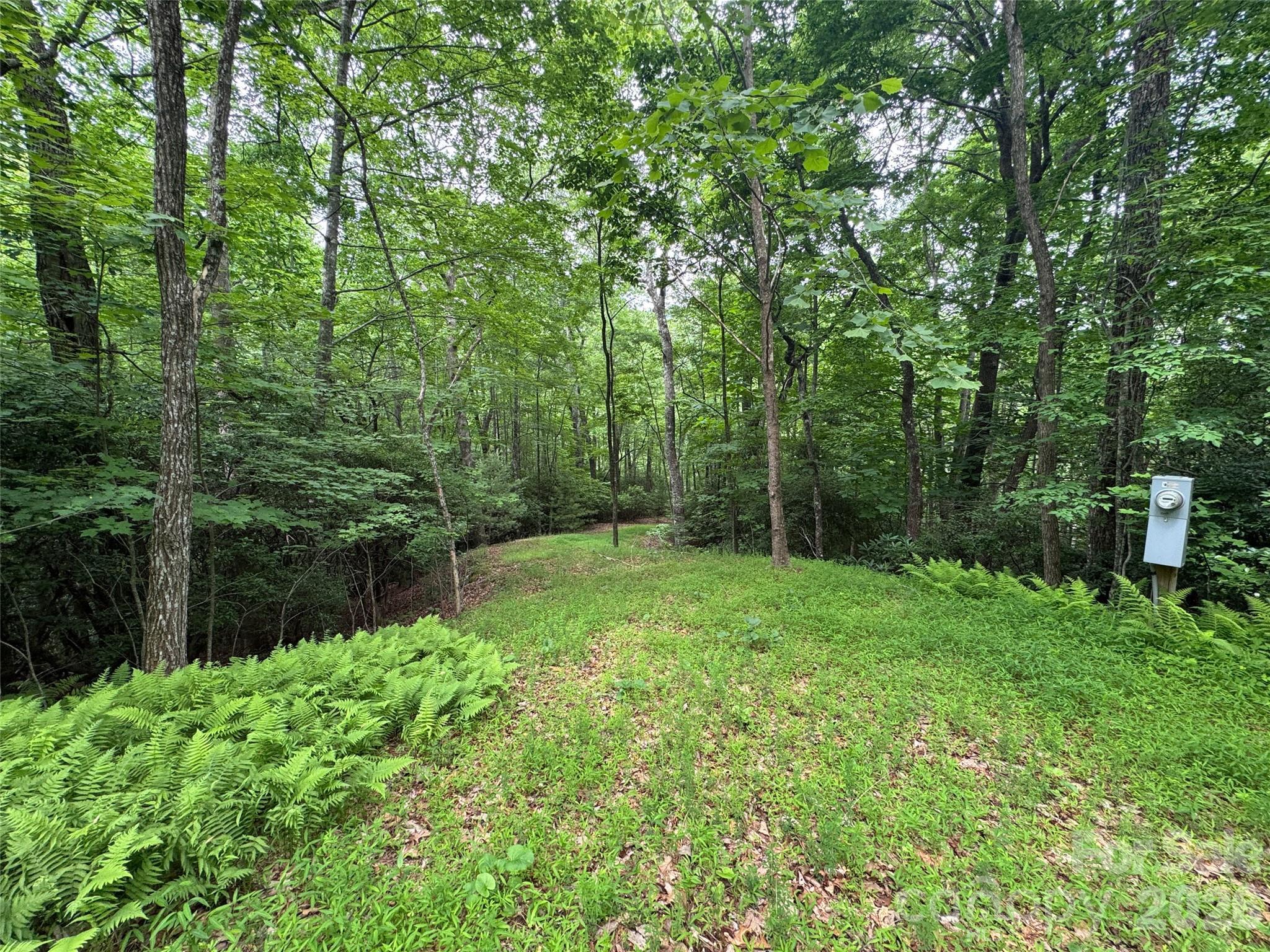 Image 1 Image 1